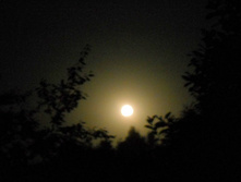 DSCN8466.JPG