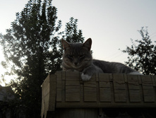 DSCN8537.JPG