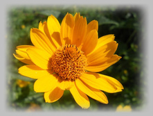 DSCN8401-1.jpg