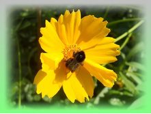 DSCN8405-1.jpg