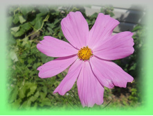 DSCN8407-1.jpg