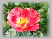 DSCN8410-1.jpg