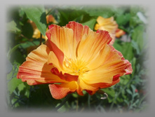 DSCN8412-1.jpg