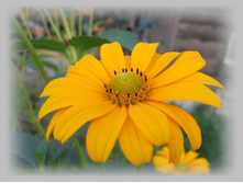 DSCN8534-1.jpg