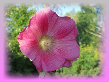 DSCN8589-1.jpg