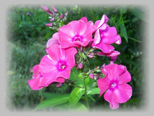 DSCN8614-1.jpg