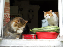 DSCN8082.JPG