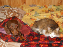 DSCN8102.JPG