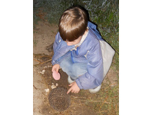 DSCN8136.JPG