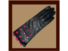 Gw0008A.png