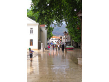 SDC11594.JPG