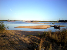 IMG0320.jpg