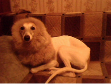IMG0480A.jpg