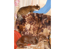 DSCN8315.JPG