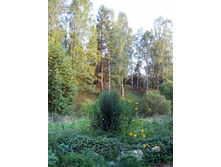 DSCN8369.JPG