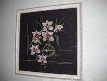 DSCN0488.JPG