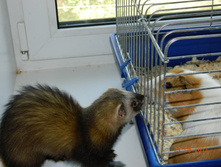 DSCN4078.jpg