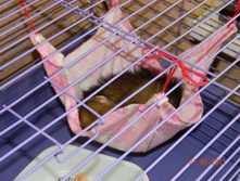 DSCN4079.jpg