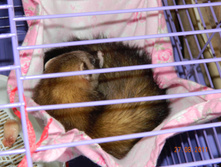 DSCN4081.jpg