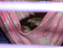 DSCN4082.jpg