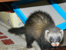 DSCN4088.jpg