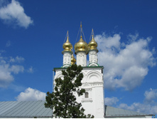 IMG_1269.jpg