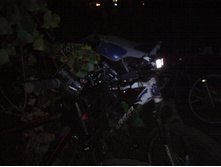 IMG0393.jpg