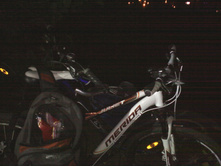 IMG0407.jpg