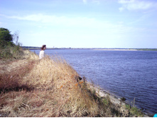 IMG0419.jpg