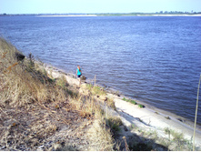 IMG0420.jpg