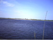 IMG0423.jpg