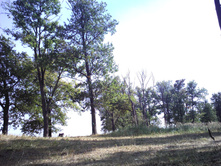 IMG0448.jpg