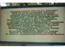 P1190505.JPG