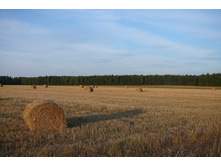 28.08.2011 23:39:37