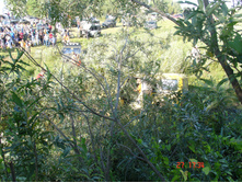 DSC00544.JPG