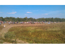IMAG0321.jpg