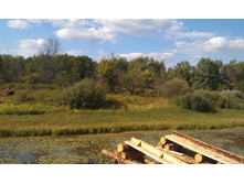 IMAG0376.jpg
