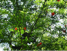 2007 032.jpg