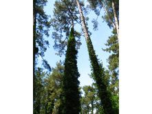 2007 077.jpg
