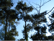 2007 082.jpg