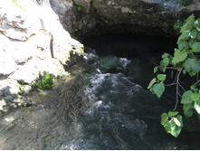 2007 099.jpg