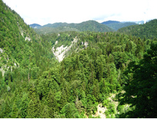 2007 128.jpg