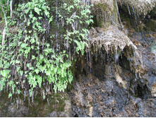2007 169.jpg