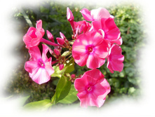 DSCN8648-1.jpg
