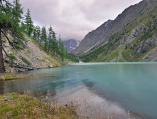 DSC_1706_01.JPG