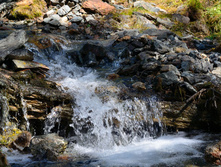 DSC_2237_01.JPG