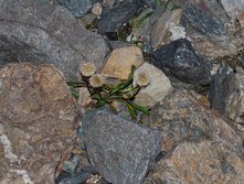 DSC_2354_01.JPG