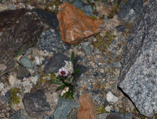 DSC_2358_01.JPG