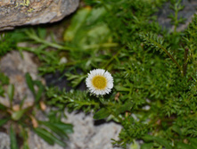 DSC_2364_01.JPG