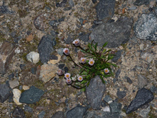 DSC_2366_01.JPG